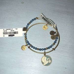 Alex and Ani Special Delivery Set of 2 Bracelets